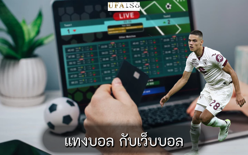 แทงบอล กับเว็บบอล